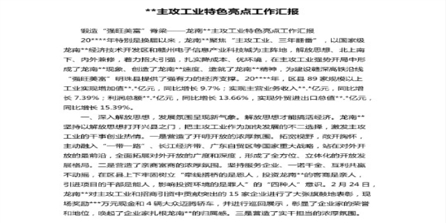 亮点工作汇报怎么写